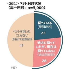 ペットの「お墓・供養」「保険」のサービス利用意向が上位に - 飼育の困りごとは「留守にできない」など