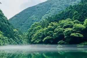 奥多摩に「サウナの後に湖へ飛び込める」テントサウナ施設登場