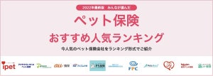 どれがいいの?【ペット保険 おすすめ人気ランキング】最新版を発表!