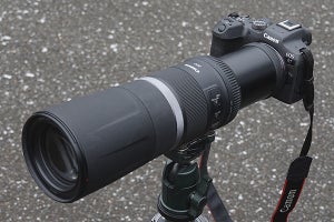 「EOS R7」濃厚レビュー前編　APS-C機で使うRF800mm F11の“病みつき”ぶり