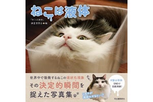 ねこは液体!? "液状化する猫"の決定的瞬間をとらえた写真集が登場