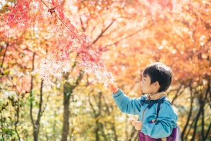 【全国旅行支援】子どもがいる人の利用済み・利用予定は52%、「利用しない」理由は?