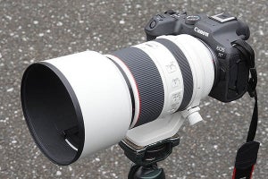 「EOS R7」濃厚レビュー後編　R7＋RF70-200mm F2.8 Lの万能ぶりに溺れてカ・イ・カ・ン！