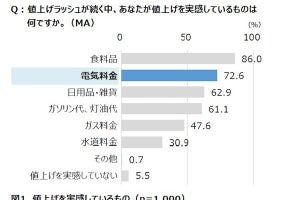 節電したい家電1位は？ ダイキンが電気代値上げと節電要請に関する調査