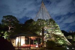 “庭紅葉”の六義園、3年ぶりのライトアップ開催中-夜間特別観賞は12月4日まで