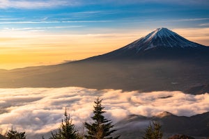 一粒万倍日/天赦日/大安吉日/寅の日が重なる日は? 2023年最強開運日カレンダー