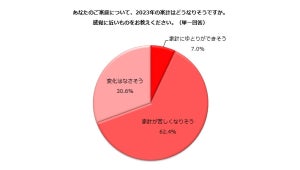 2023年の家計、6割超が「苦しくなりそう」と予測 - 収入を増やす方法は?