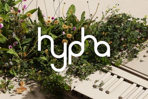 Native Instruments、無償のソフト音源「HYPHA」を含むホリデーギフトを配布