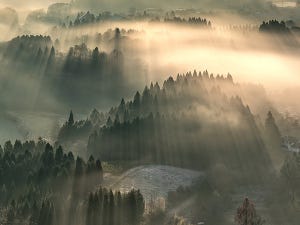 京都の"とんでもない絶景"に「神様が降り立ったかのよう」「墨絵のよう」と大絶賛の嵐!! - 撮影者にエピソードを聞いてみた