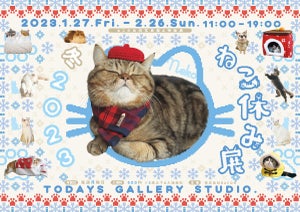 2023年“癒しの猫の祭典”が幕開け!「ねこ休み展 冬 2023」が1月27日～2月26日東京で開催