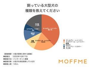 大型犬をお迎えするのは「昔からの夢」が41.9%! 飼っていて大変だったことは?