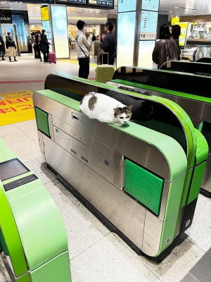 【な、なんですと???】東京駅の改札機に"ある生き物"が座っていると話題に! -「JR東日本の新社長ですよ!」「もう全部の自動改札機に搭載しましょう」