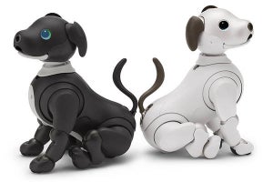 オッドアイも選択できる「aibo エスプレッソ エディション」