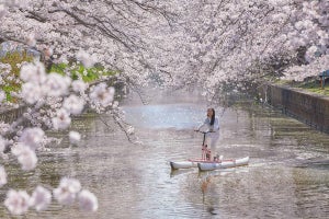 水上でサイクリング! 茨城県土浦市の"自転車を楽しむホテル"でお花見イベント