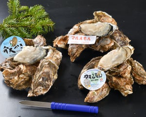 北海道厚岸町ふるさと納税返礼品「殻かき3種 食べ比べ お試しセット」とは? 