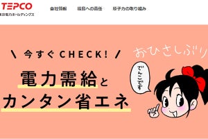 東京電力、電気料金を平均29.31％値上げ - 経産省が申請受理