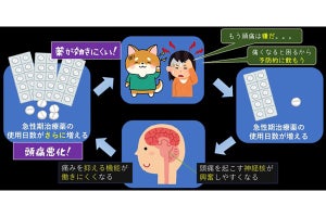 15歳〜64歳の約50人に1人が痛み止めの使いすぎで頭痛になっている可能性