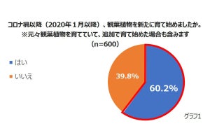 冬に観葉植物を枯らさないために! 最適な室温・湿度は? 三菱電機が解説