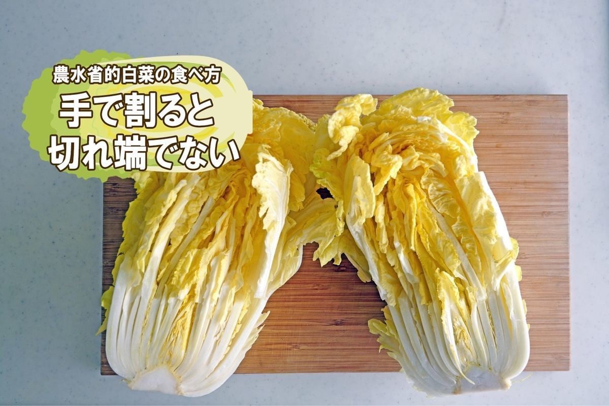 農水省がすすめる「白菜の食べ方」に注目 - 食べるときは○○から、「黒い斑点」の正体は“アレ”など今の時期に欲しかった情報〜ッ!