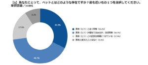 飼い主の7割超が「ペットは家族と同等」- ペットのためなら出費を厭わないものは?