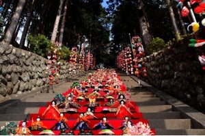 【圧巻!118段の雛段】素盞鳴(スサノオ)神社「雛段飾り」開催! 河津桜まつりも 