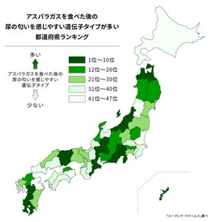 「アスパラガスを食べた後、尿の匂いを感じやすい」都道府県とは?