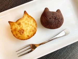 【本日発売】ファミマ限定! ねこの形をした「にゃんともおいしいベイクドチーズケーキ&チョコブラウニー」がかわいすぎました