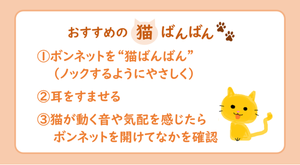 猫が車に入り込んだ! 救援要請は19件-JAFが“猫ばんばん”を呼びかけ