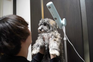 ハンズフリーのドライヤー「BISARA with」、愛犬と使ってみたら画期的に楽だった