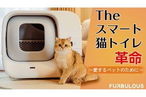 猫の体重計測や排泄物処理を全自動で行うスマート猫トイレ