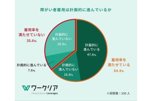 IT企業の障がい者雇用、計画通りに進む要因・課題に感じる点は?