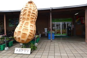 メディアにひっぱりだこ! 「道の駅木更津 うまくたの里」が人気の理由