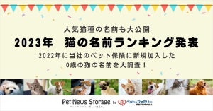 ｢きなこ」「琥珀」「むぎ」「マロン」- 人気の猫の名前ランキング発表