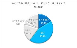 薄毛男性1,083人に聞いた! 「やっておけばよかった薄毛予防策」、1位は?