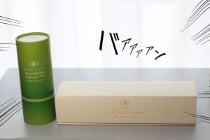 「木材を使ったケーキ」と「竹から生まれたガレット」!?  “環境問題を食べて解決”するSDGsなスイーツが新感覚すぎた