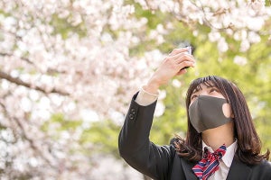 満開の桜をきれいに撮りたい！　今すぐできる「6つのポイント」