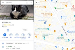 ポーランドで最も高い評価を得ている観光名所は「猫」