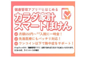 KDDI、auウェルネス会員限定の「カラダ家計スマートほけん」