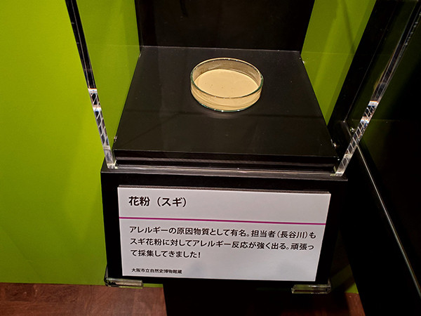 【ムズムズ】毒展に展示されていたアレが猛毒“スギ”ると一同騒然!!「ギャーーーーッッッ」「見るだけで痒くなる」「バイオハザードやん」の声