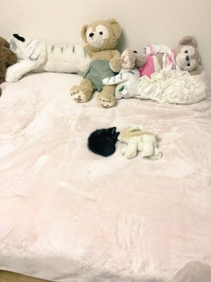 【落ちてる】毛玉? 子猫? コロンとキュートな寝姿に胸キュン! - 「なんて愛らしい」「きゅーーん」