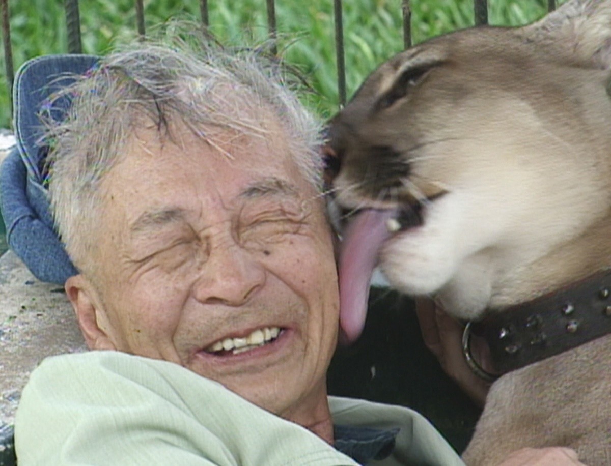 ムツゴロウさんは、なぜ動物と信頼関係を築けたのか――『ムツゴロウとゆかいな仲間たち』スタッフ座談会＜前編＞