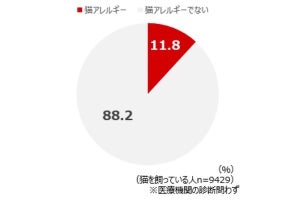 猫を飼っている人の約8人に1人が猫アレルギー、対策は？ - LG調査