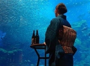 魚を肴に!? 宮城県仙台市の水族館で「 日本酒ナイト」開催