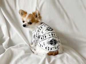 1カ月あたりの「飼い犬の洋服代」、最も多い金額帯は?