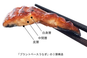 日清食品、動物原料使わず「うなぎの蒲焼」を再現した「プラントベースうなぎ」開発 - ネット「食べてみたい」