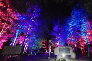 空気を奉る「空気神社」が今年もご開帳！ 幻想的な夜間ライトアップはゼロエネルギーに移行