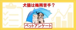 「梅雨」の時期に気になるペットの症状、1位は? 2位「食中毒」