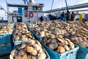 北海道別海町ふるさと納税返礼品「自慢の海産物」