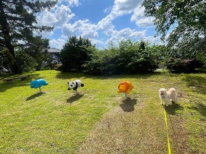 【公園】ゾウ、パンダ、ライオン……んっ!? 遊具かと思ったら〇〇!?「だまされかけた(笑)」「かわいすぎてしんだ」の声