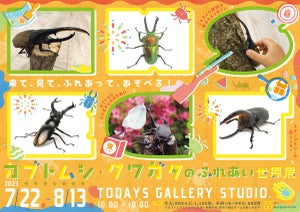 「カブトムシ・クワガタのふれあい世界展 2023」東京・浅草橋にて開催 - 限定ワークショップや昆虫縁日なども用意